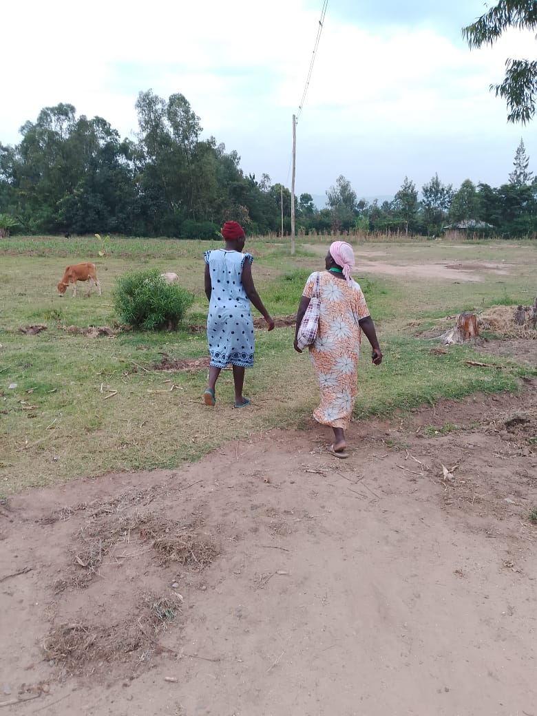SHENA community